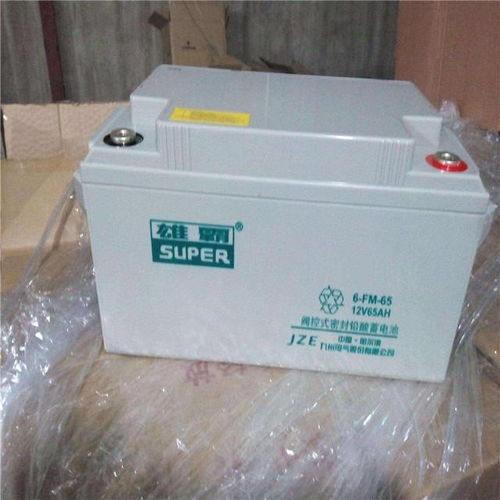 雄霸蓄電池6-FM-45技術參數詳解與性能分析